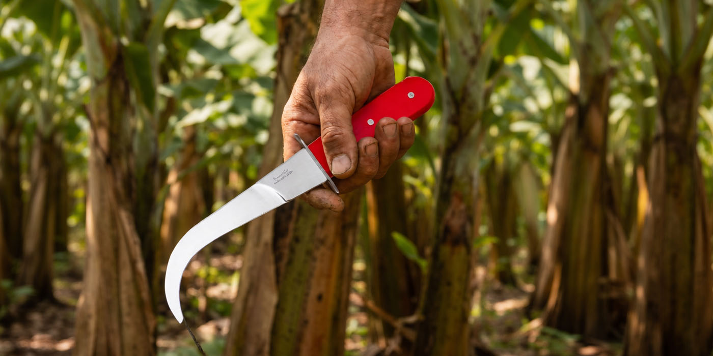 cuchillo-bananero-5