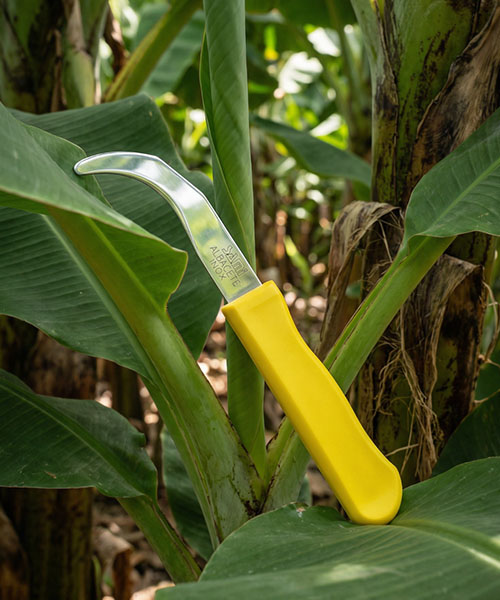 cuchillo-bananero-01