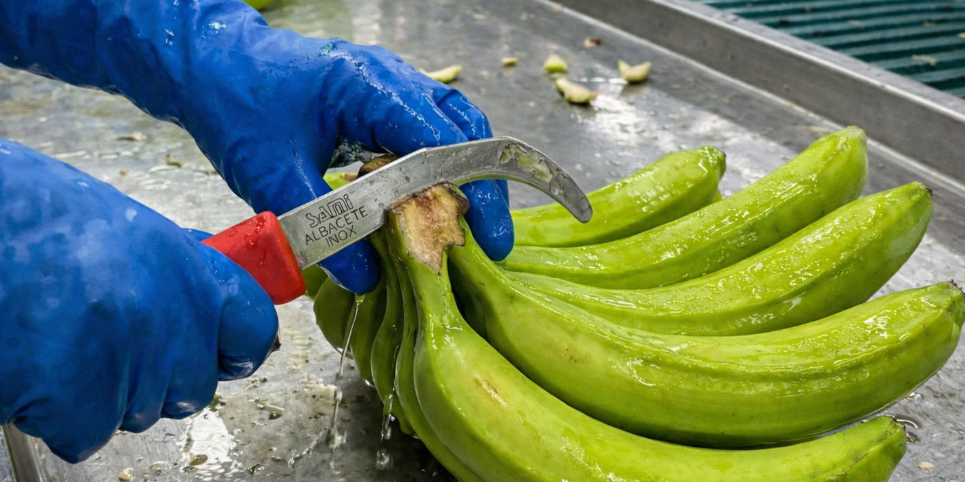 cuchillo-bananero-04